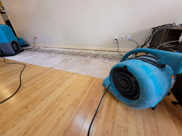 Professional Structural Drying technician working in Moclips, WA